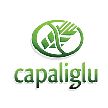 Capaliglu