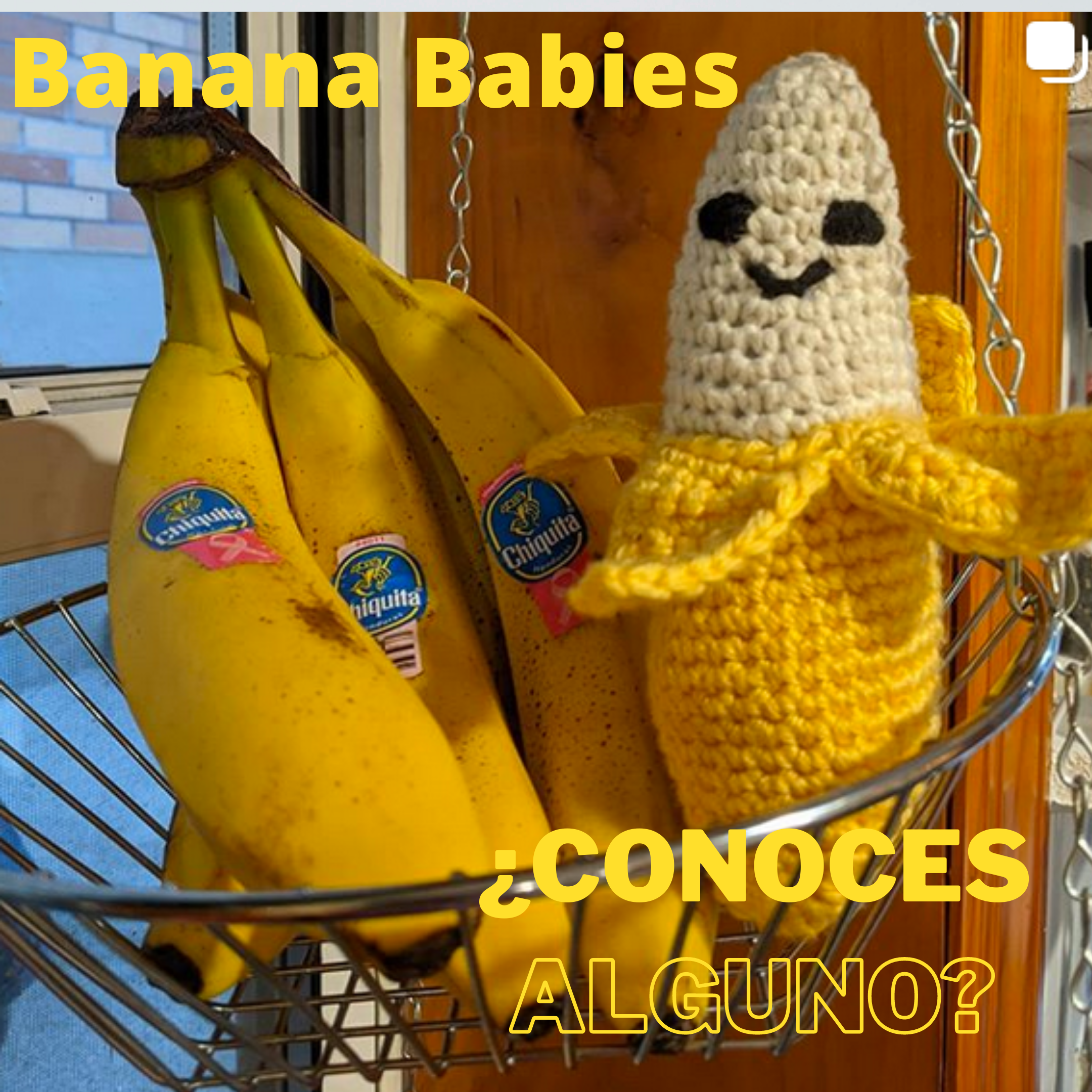 Banana Babies: ¿conocés alguno?